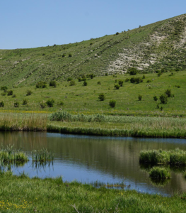 Erzurum Kamp Alanları Listesi