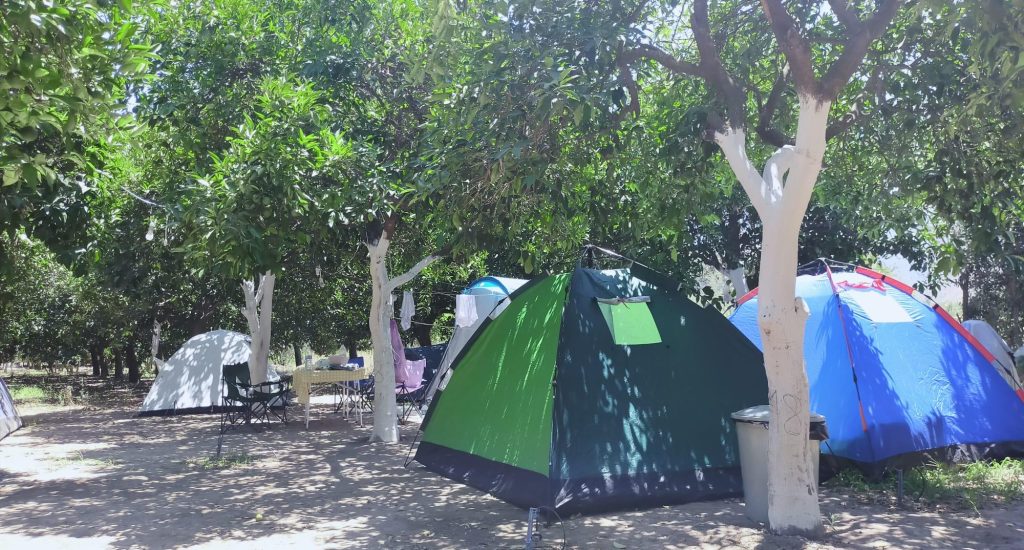 Adrasan Dere Camping3