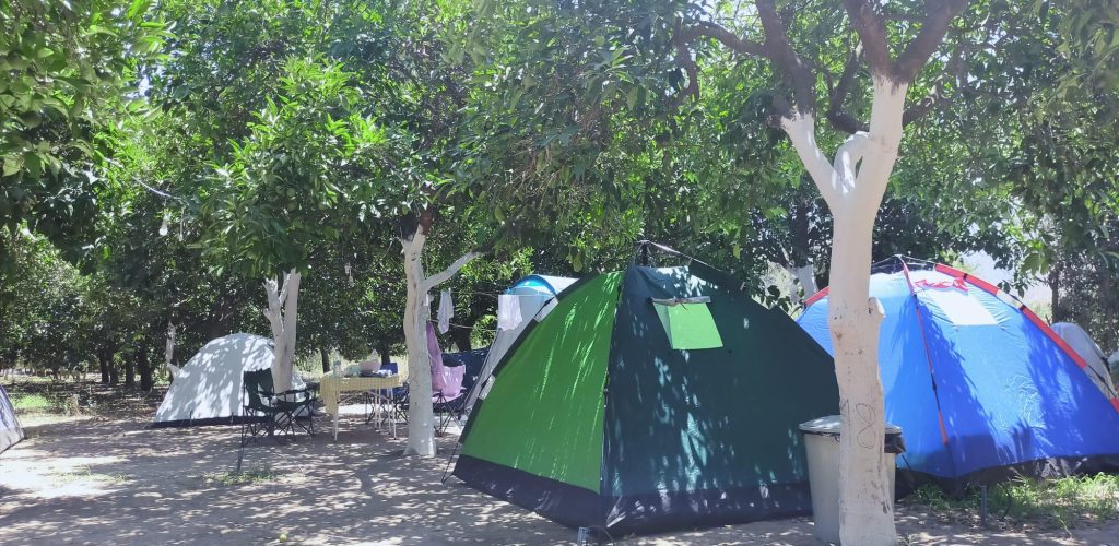 Adrasan Dere Camping3