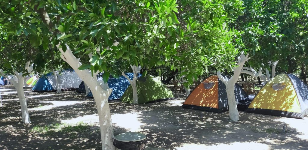 Adrasan Dere Camping4