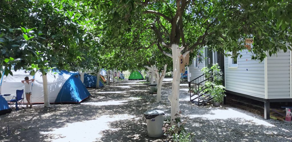Adrasan Dere Camping8