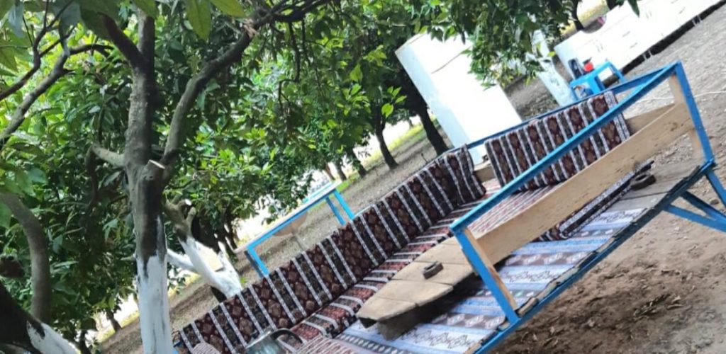 Adrasan Gizli Bahçe Camping11
