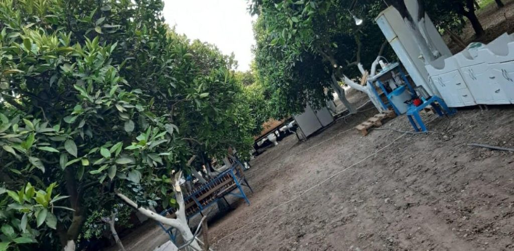 Adrasan Gizli Bahçe Camping12