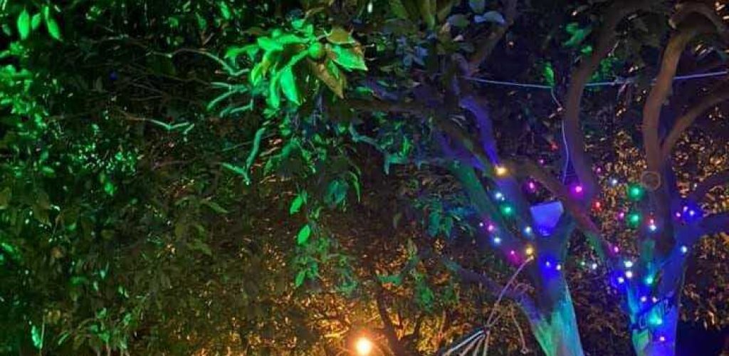 Adrasan Gizli Bahçe Camping3