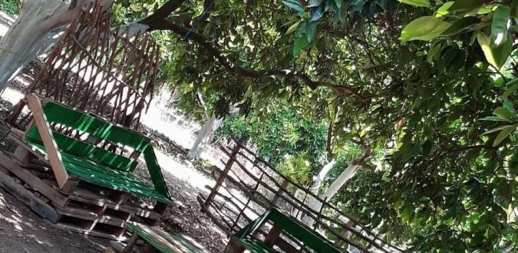 Adrasan Gizli Bahçe Camping8