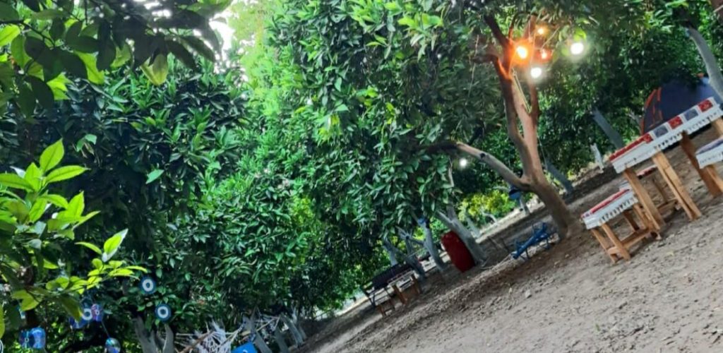 Adrasan Gizli Bahçe Camping9