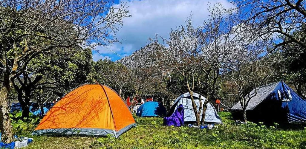 Adrasan Gonca Camping3