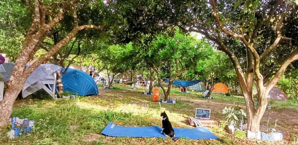 Adrasan Gonca Camping4