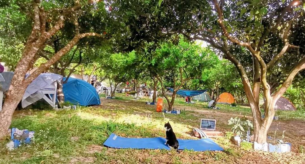 Adrasan Gonca Camping4