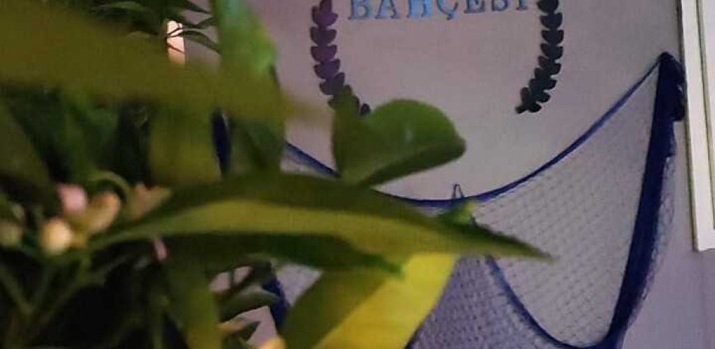 Adrasan Masal Bahçesi Kamp2