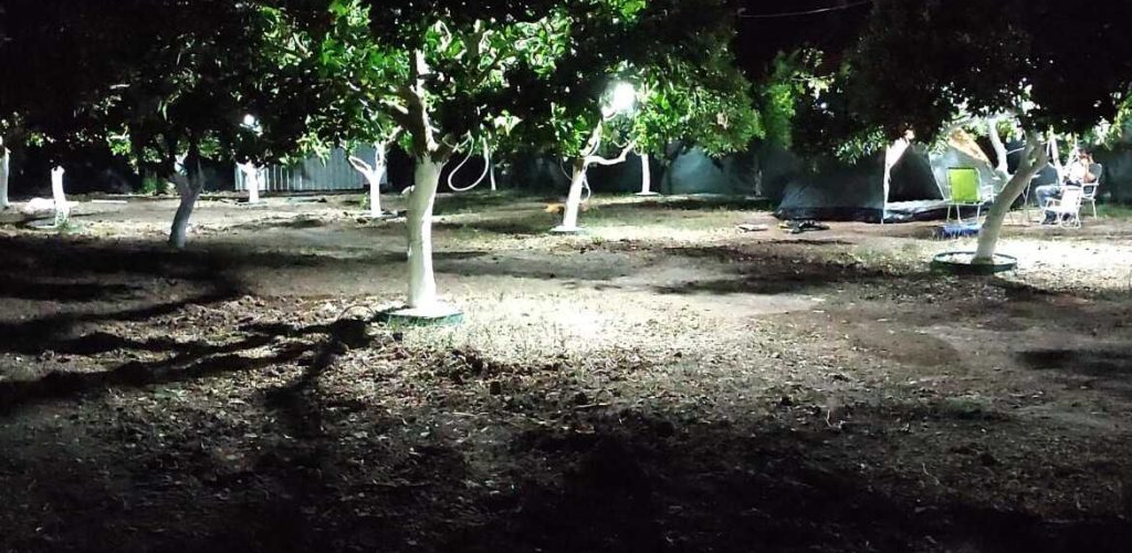 Adrasan Masal Bahçesi Kamp4