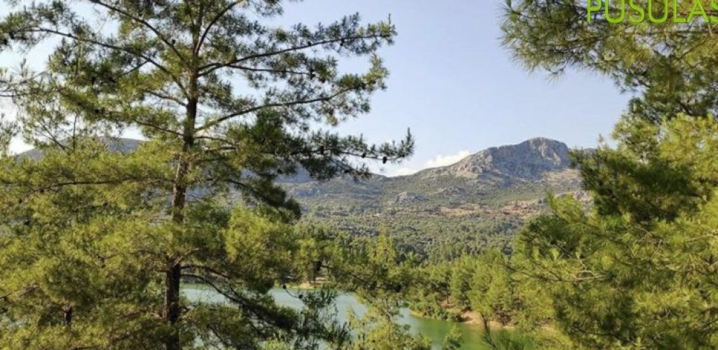 Antalya Ekşili Göleti Kamp Alanı6