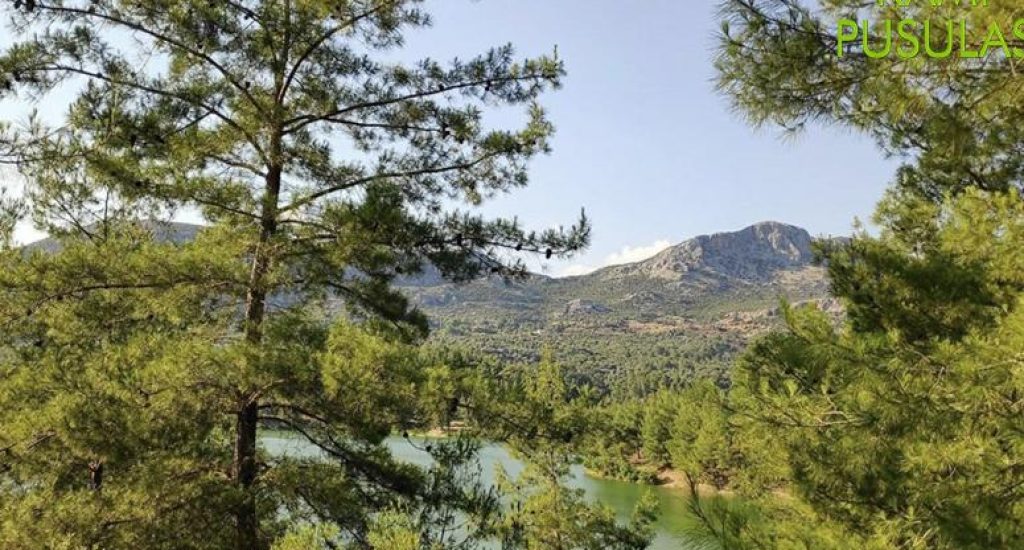 Antalya Ekşili Göleti Kamp Alanı6