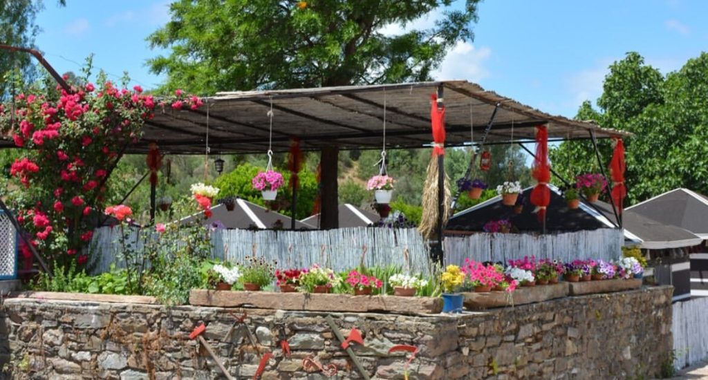 Bodrum Göçebe Kamp Alanı Tatil Köyü8