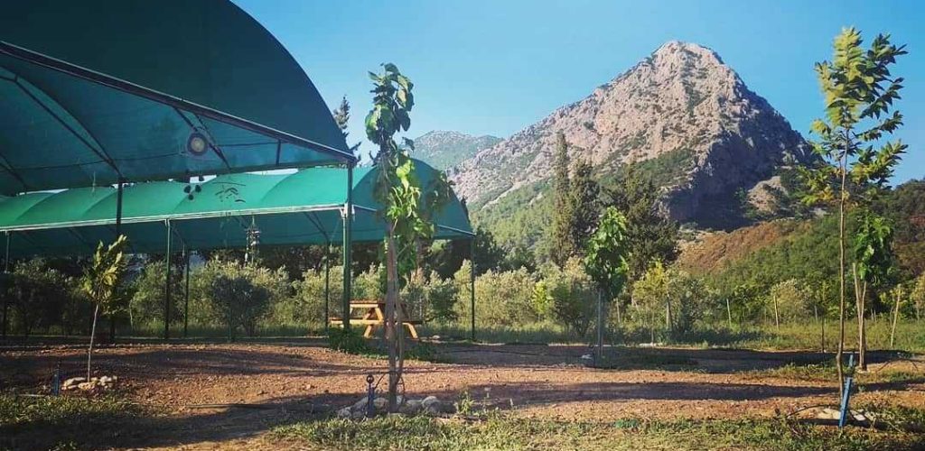 Lazona Camping Adrasan2