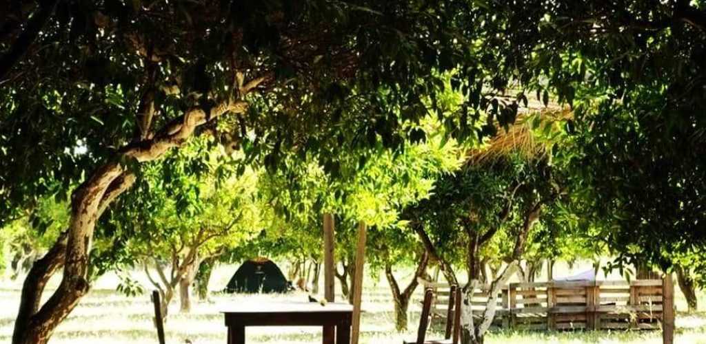 Muğla Bodrum Ecofarm Kamp3