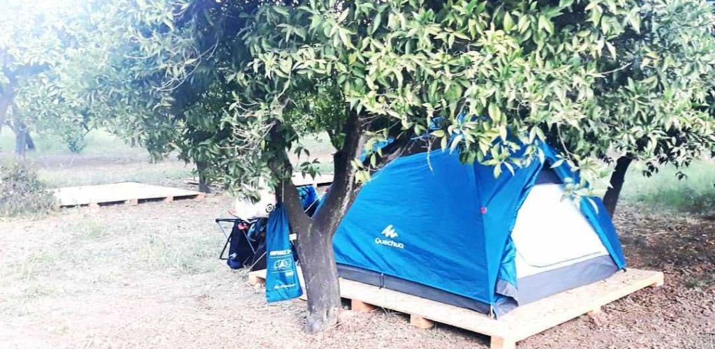 Muğla Bodrum Ecofarm Kamp6