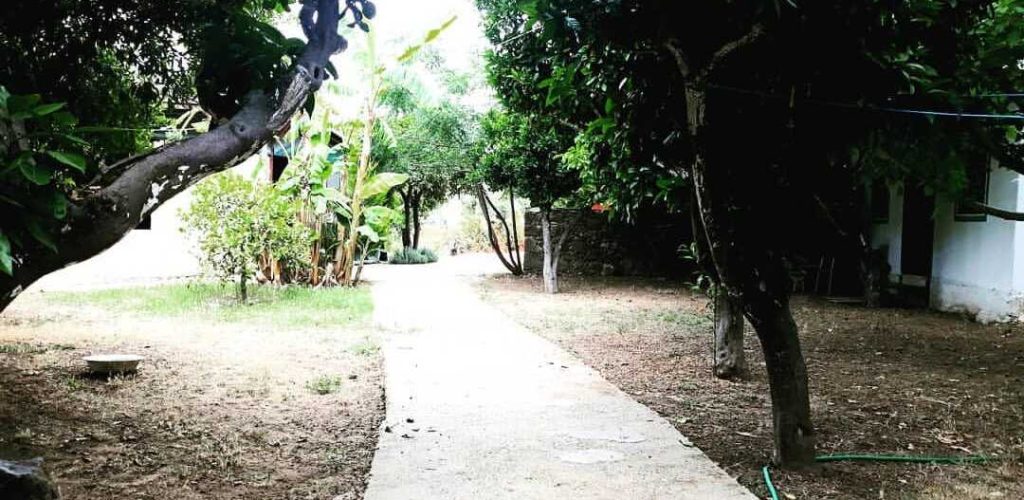 Muğla Bodrum Ecofarm Kamp7