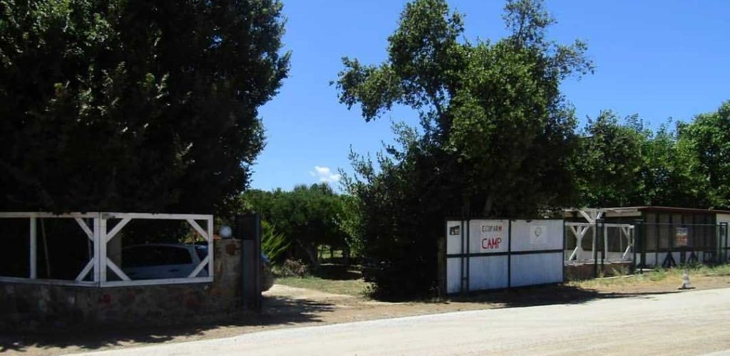 Muğla Bodrum Ecofarm Kamp8