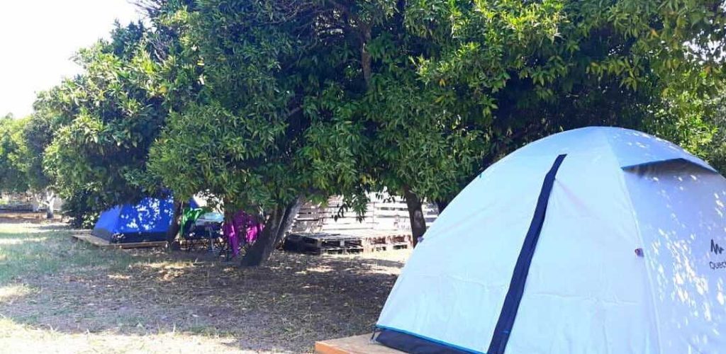 Muğla Bodrum Ecofarm Kamp9