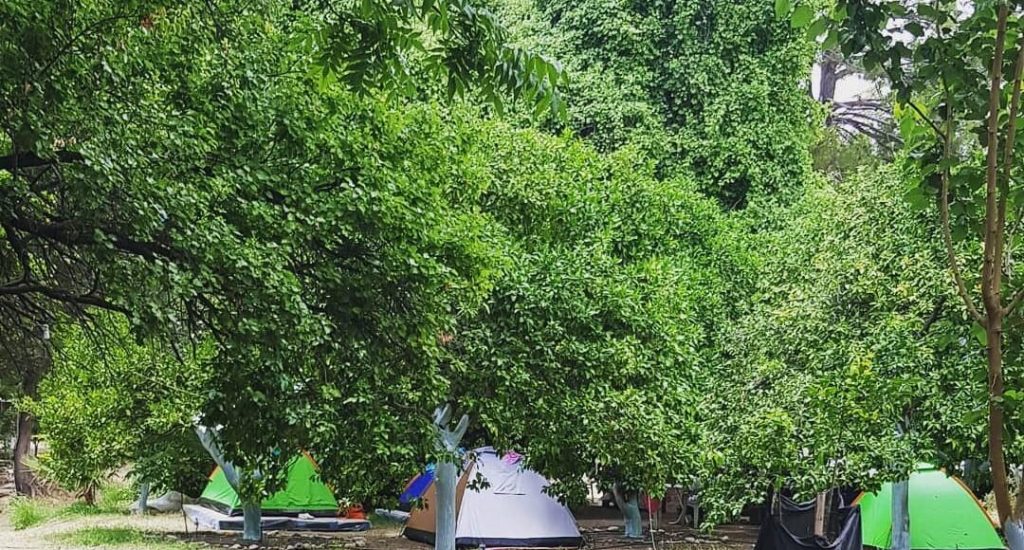 Tavus Kuşu Camping2