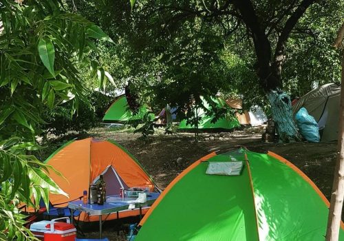 Tavus Kuşu Camping3
