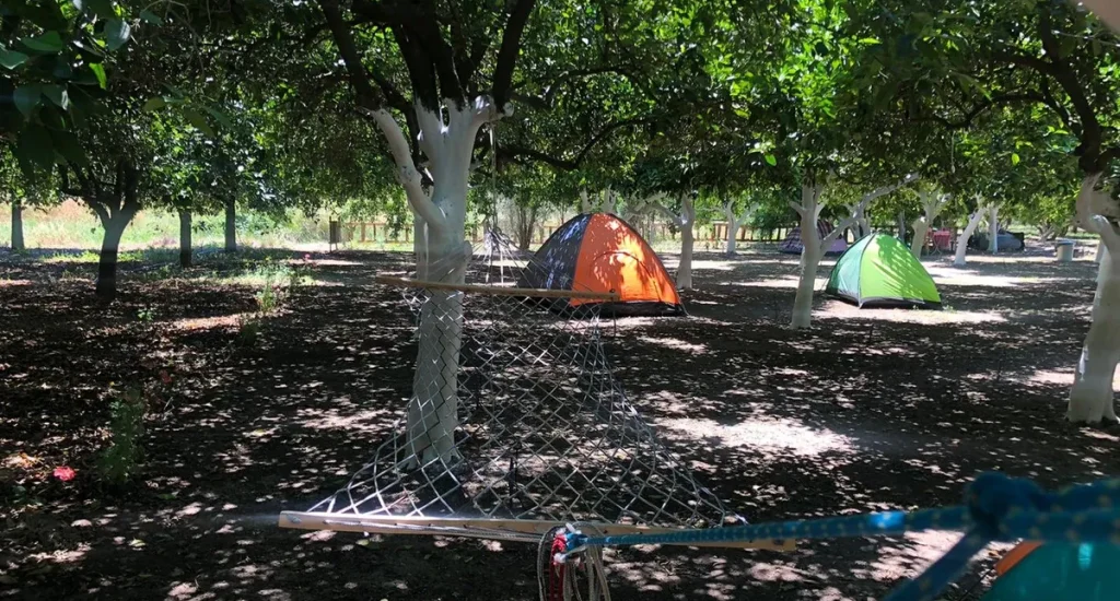 adrasan-dere-camping-8