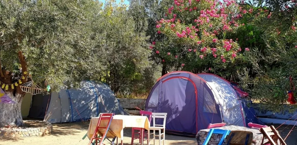 ali-baba-relax-camping-2-1200