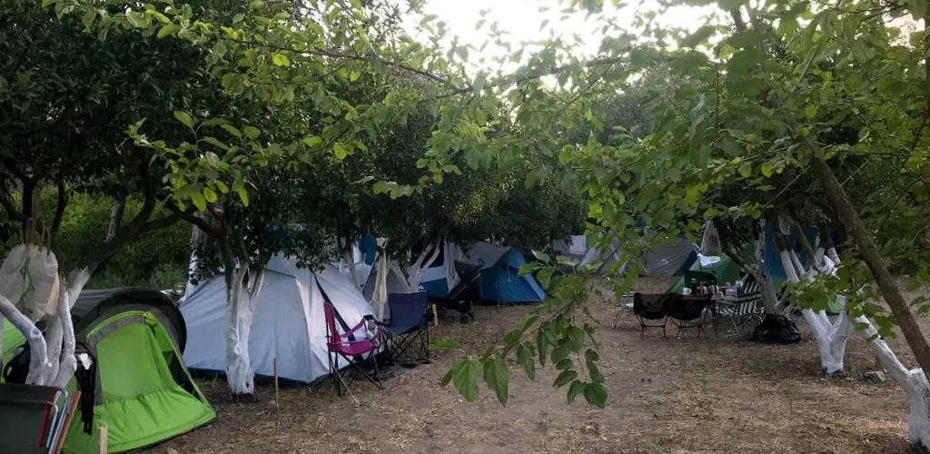 bodrum-masali-camping-1-1200