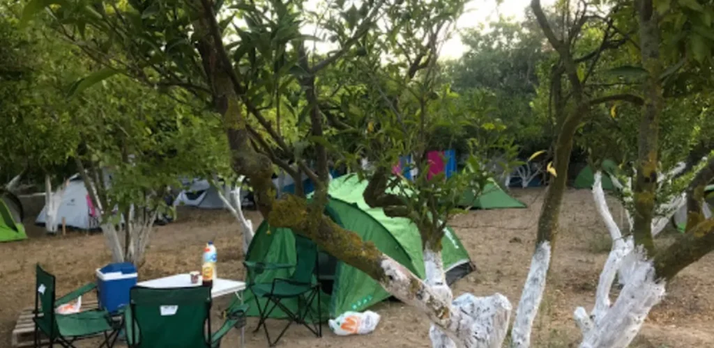 bodrum-masali-camping-7-1200